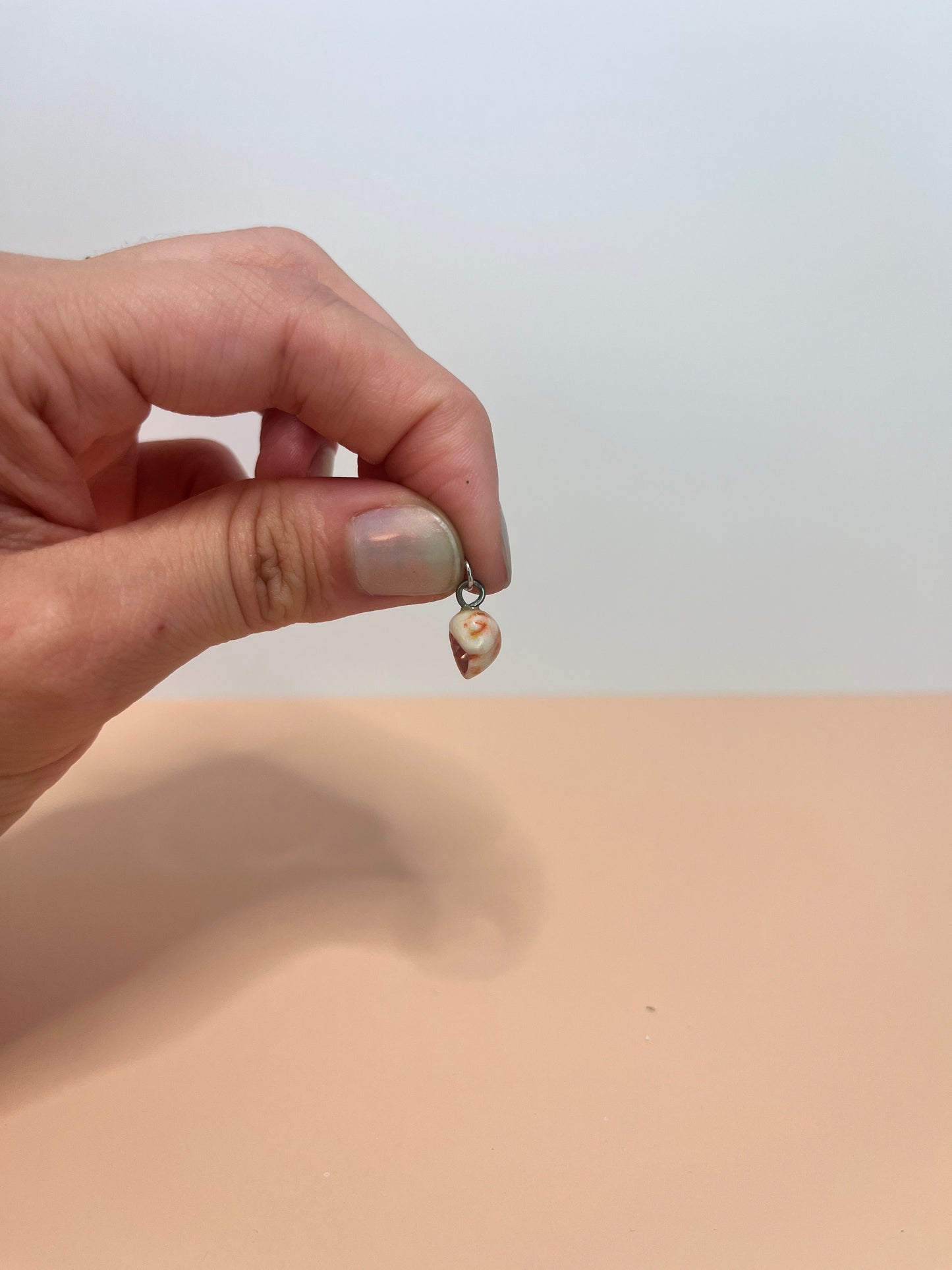 Seashell Charm