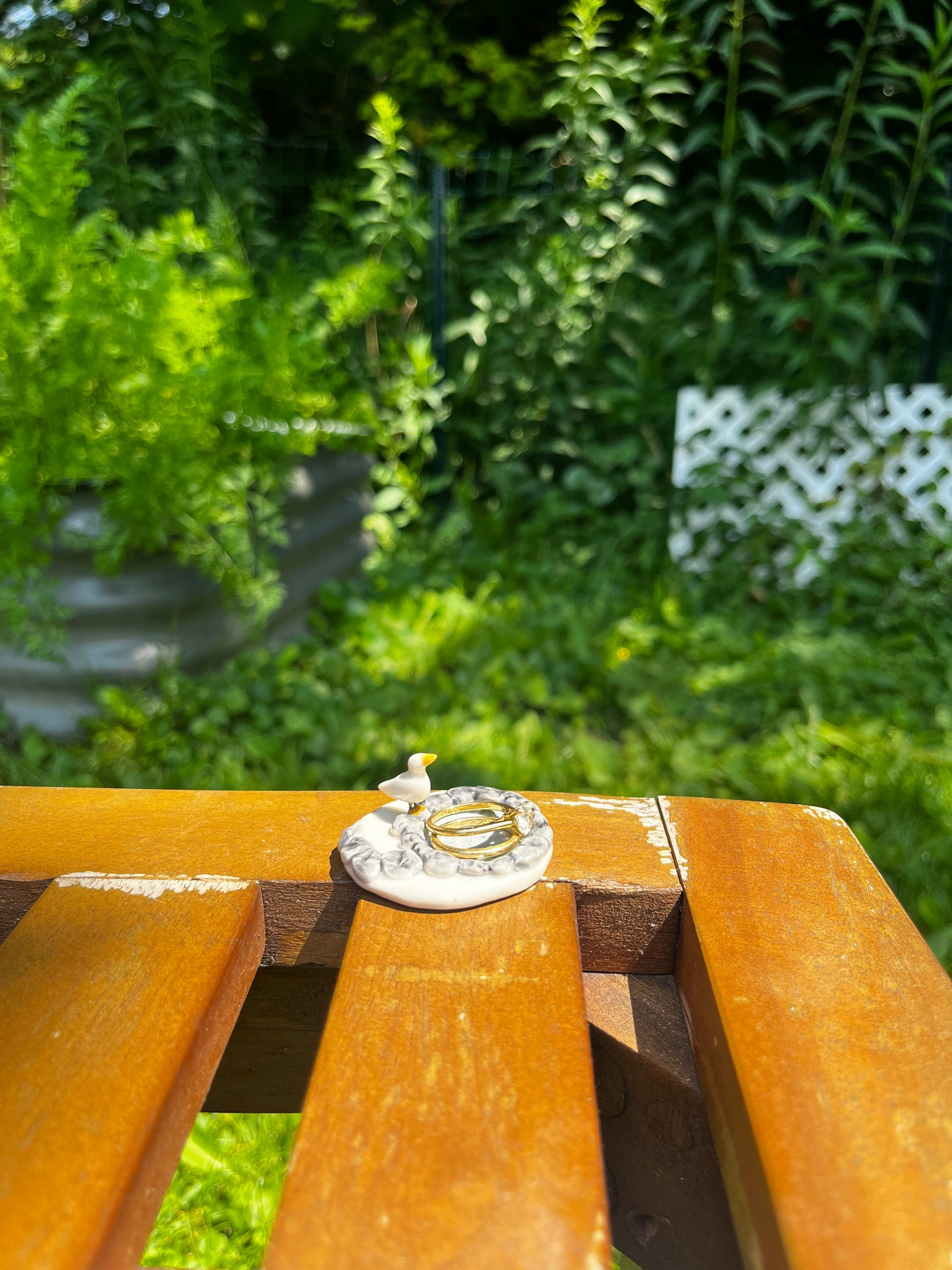 Pond Plate