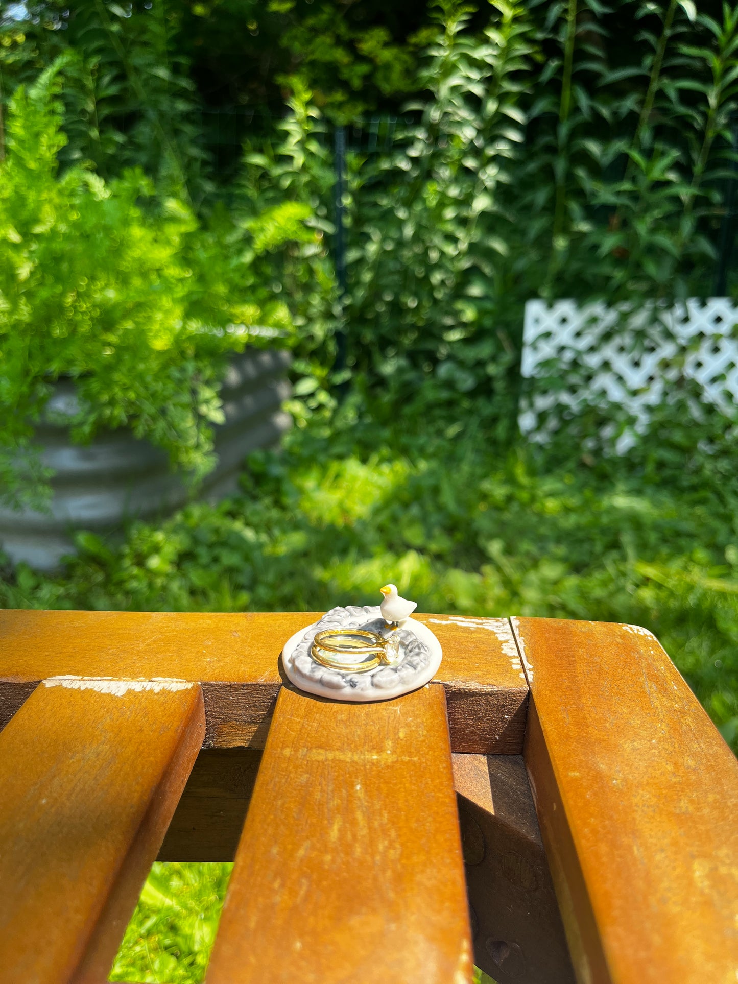 Pond Plate