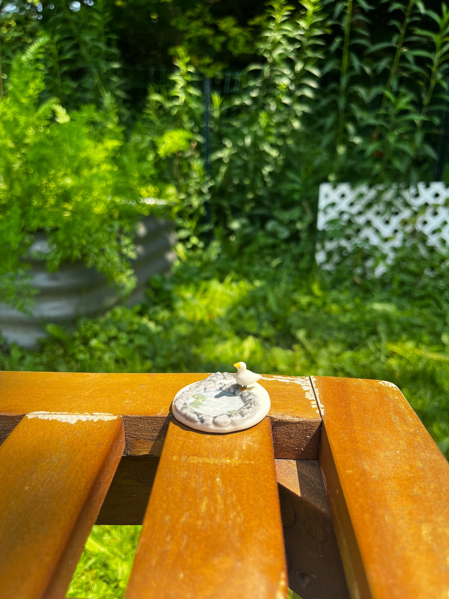 Pond Plate