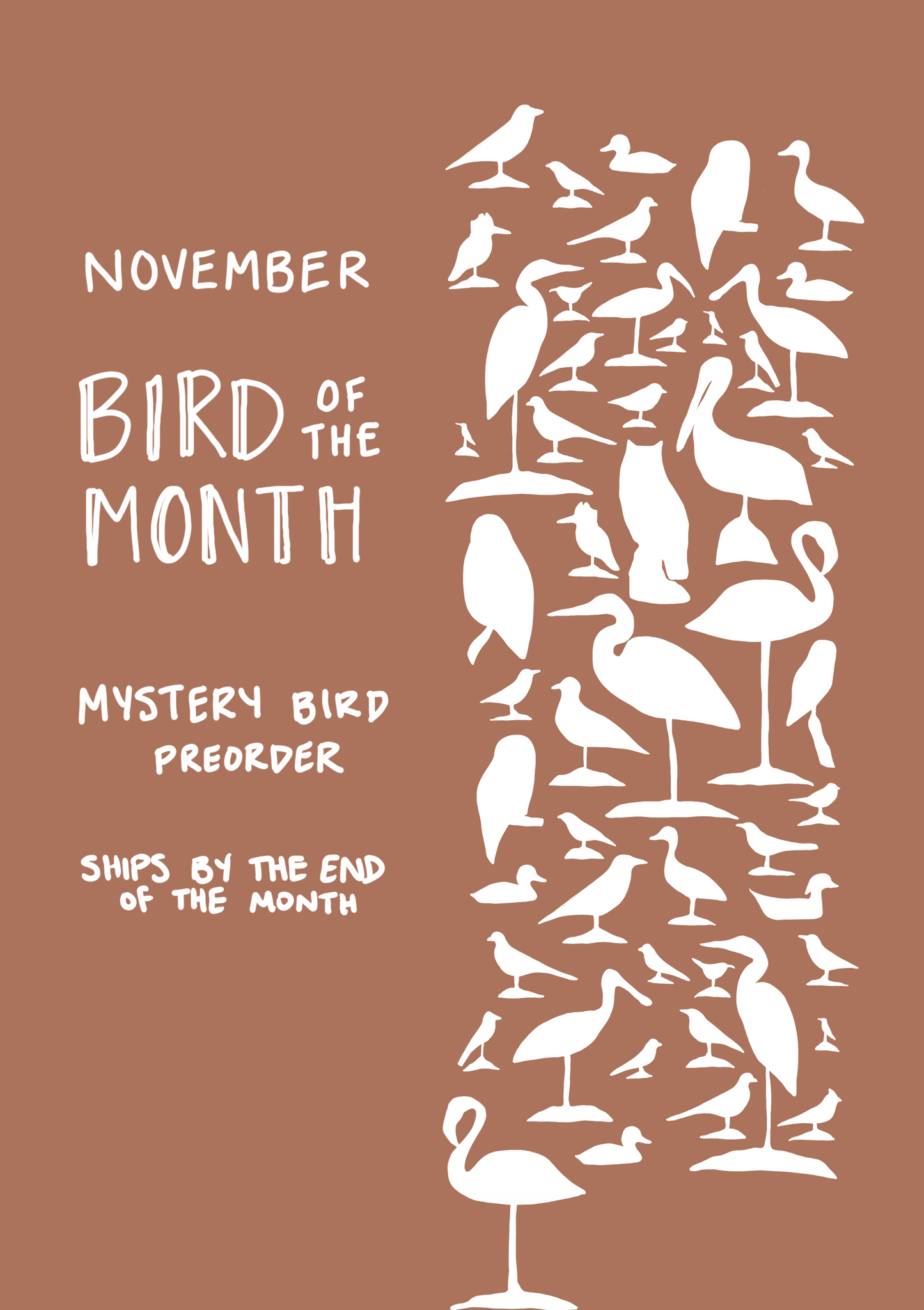 November Bird of the Month - Seconds
