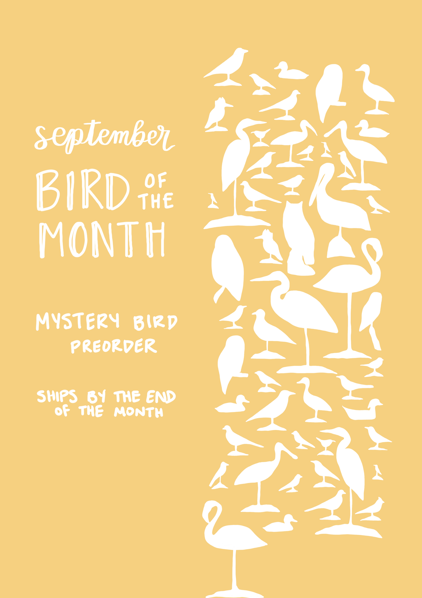 September Bird of the Month