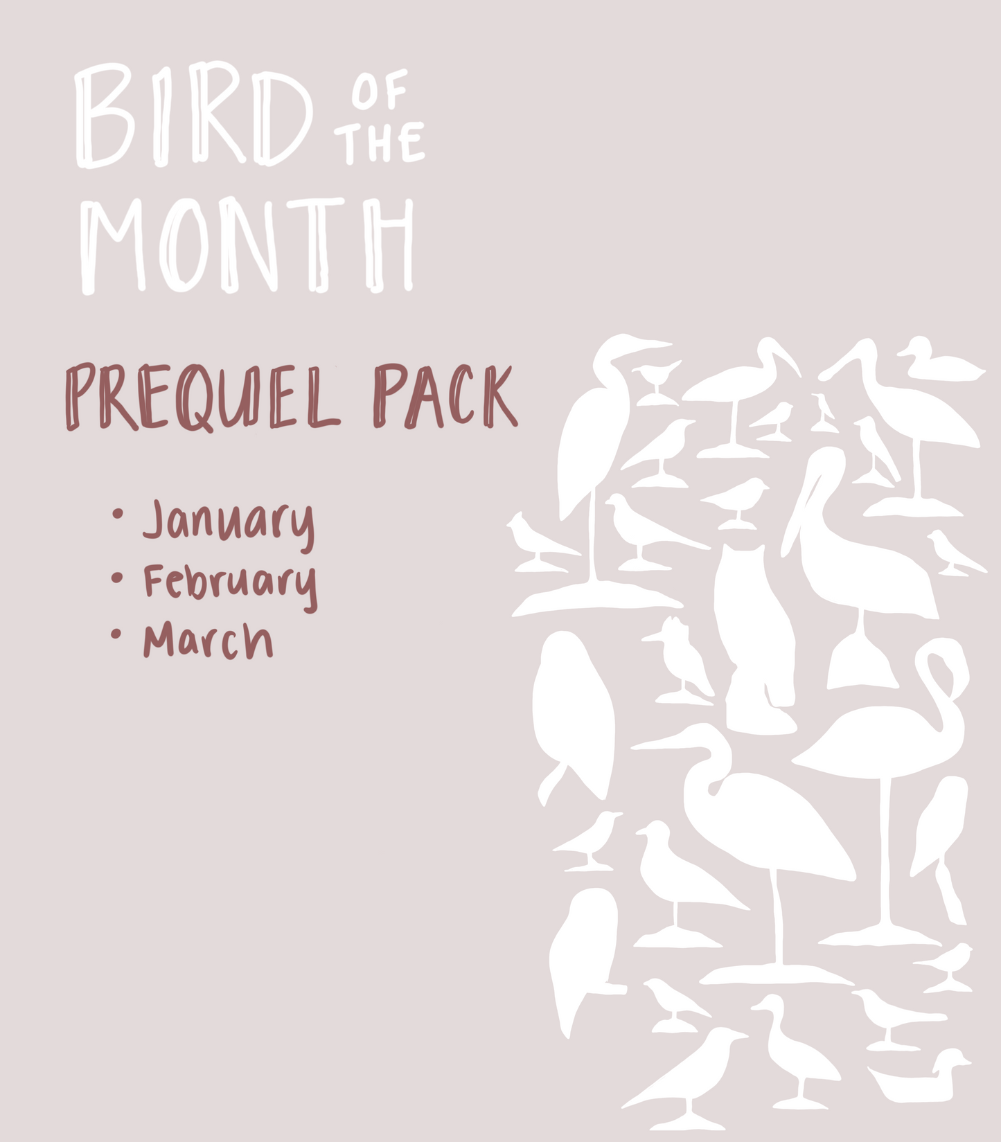 Bird of the Month: Prequel Pack