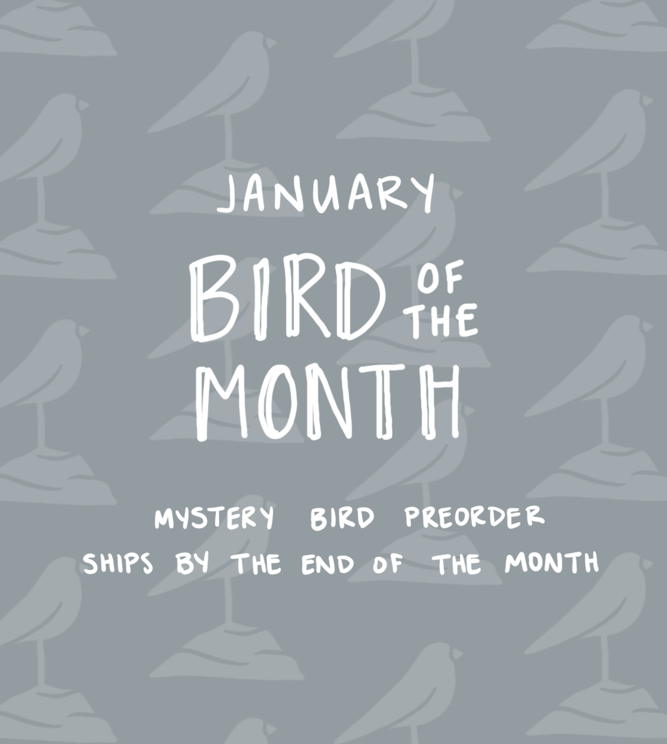 January Bird of the Month