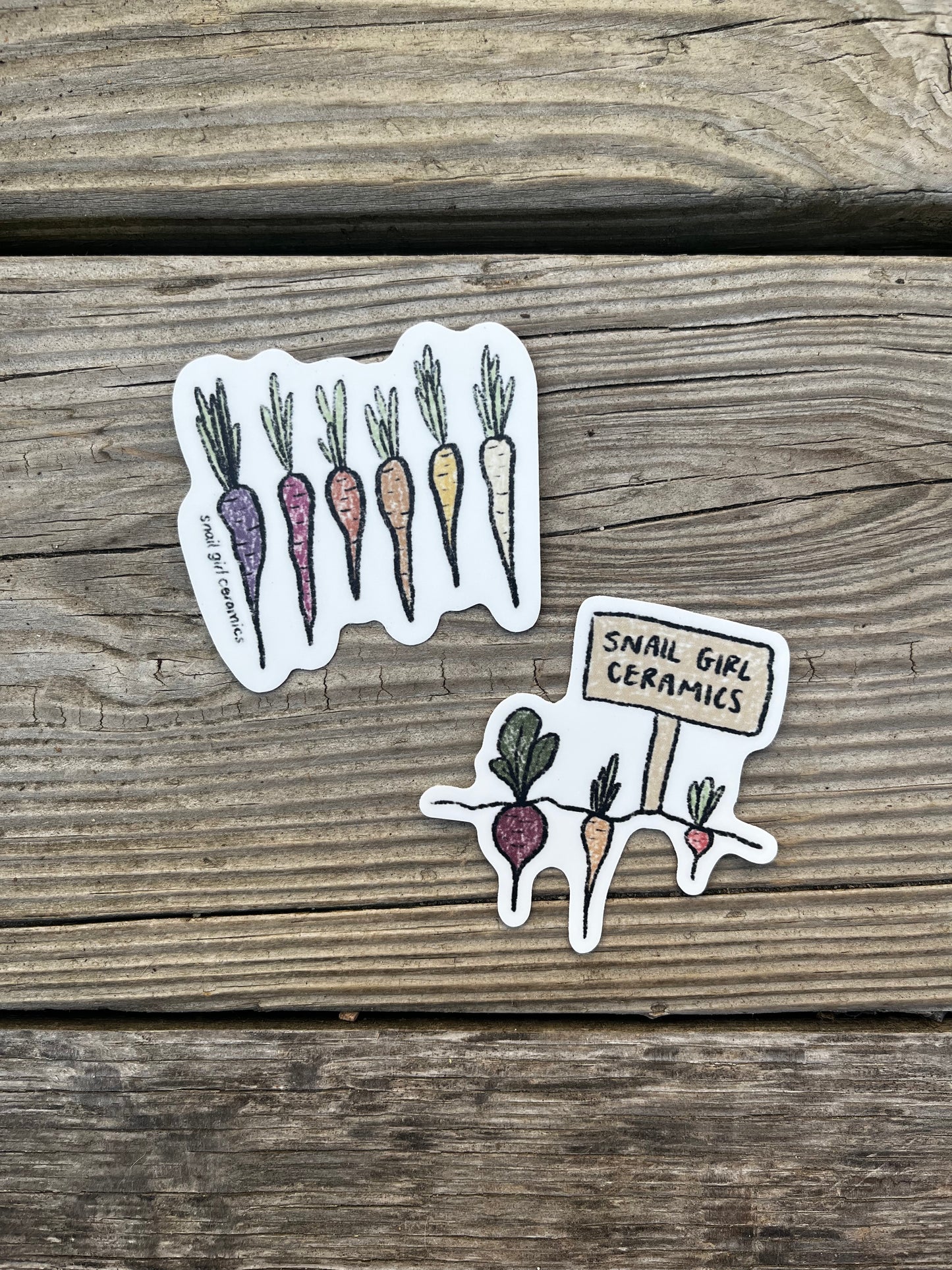 Rainbow Carrots Sticker