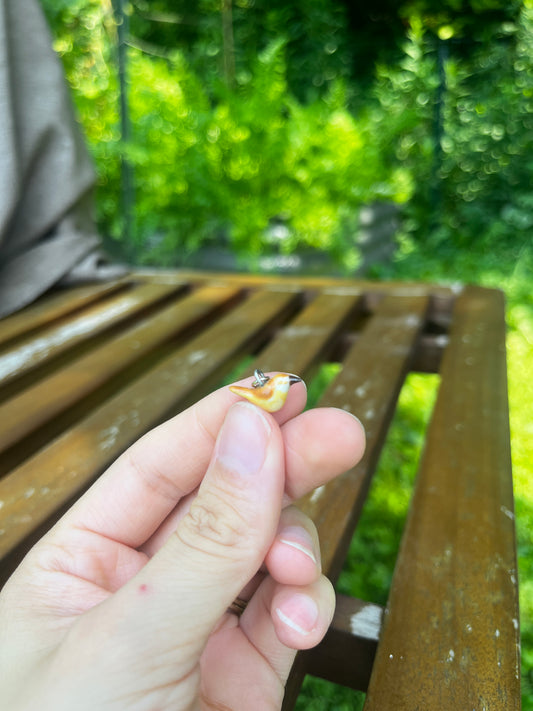 Carolina Wren Charm