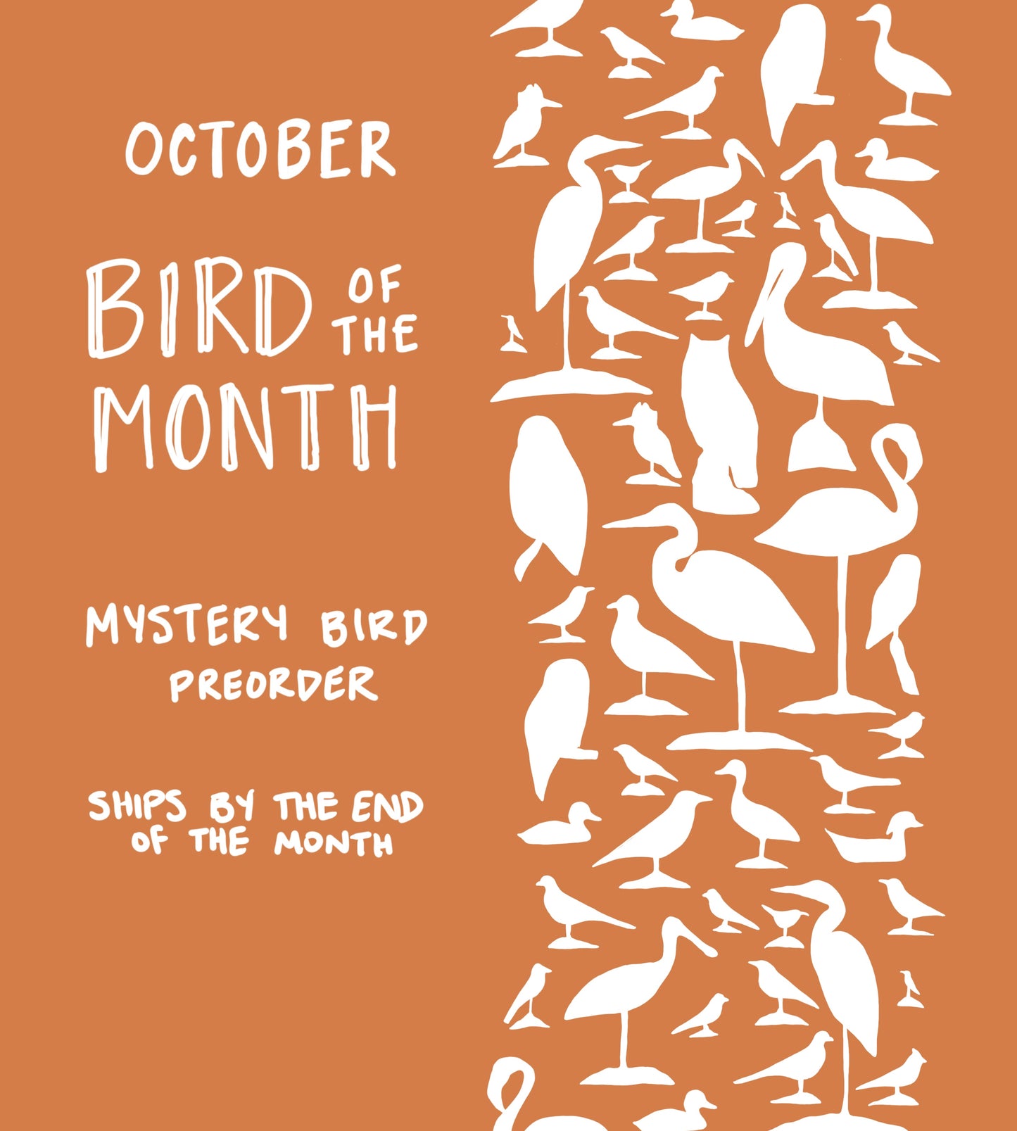October Bird of the Month