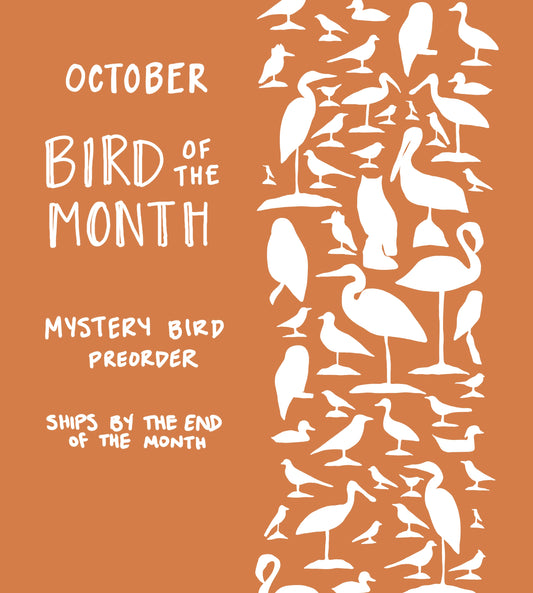 October Bird of the Month