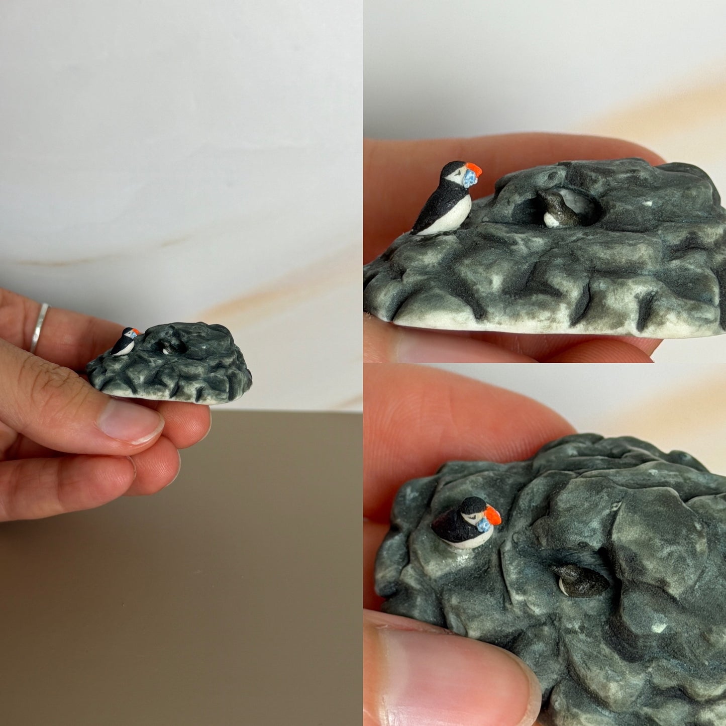 Puffin Burrow