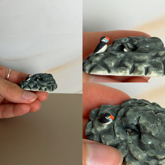 Puffin Burrow
