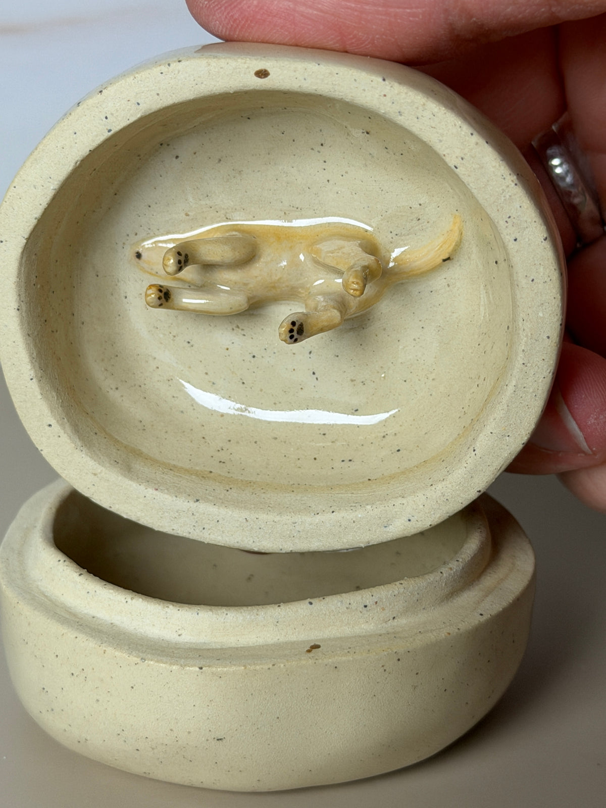 Yellow Labrador Retriever Jar