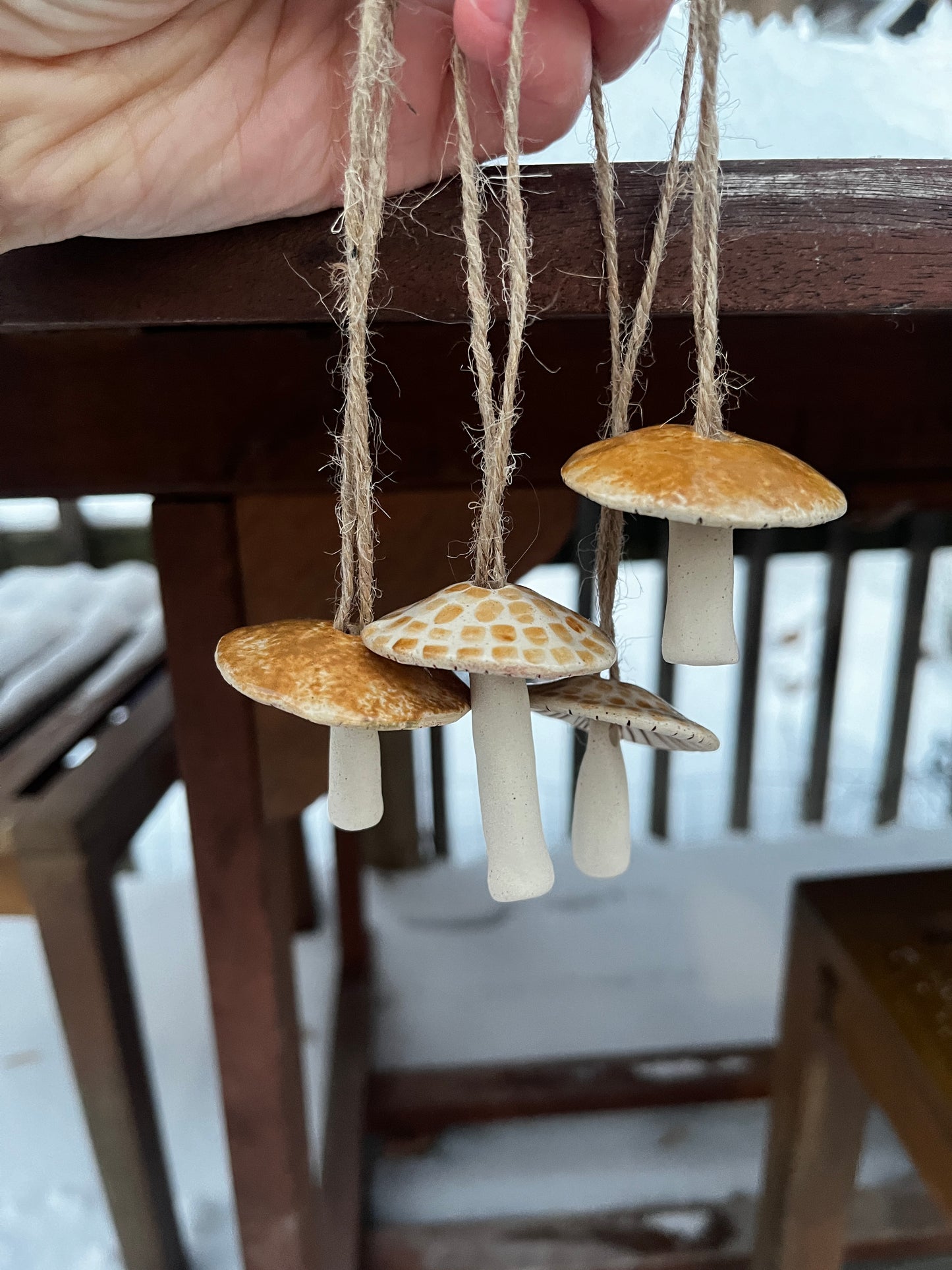 Mushroom Ornament 2024