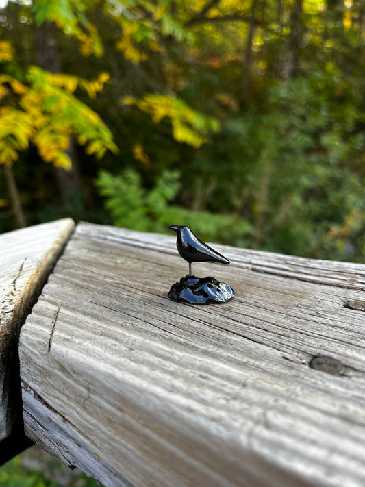 Windowsill Crow 9