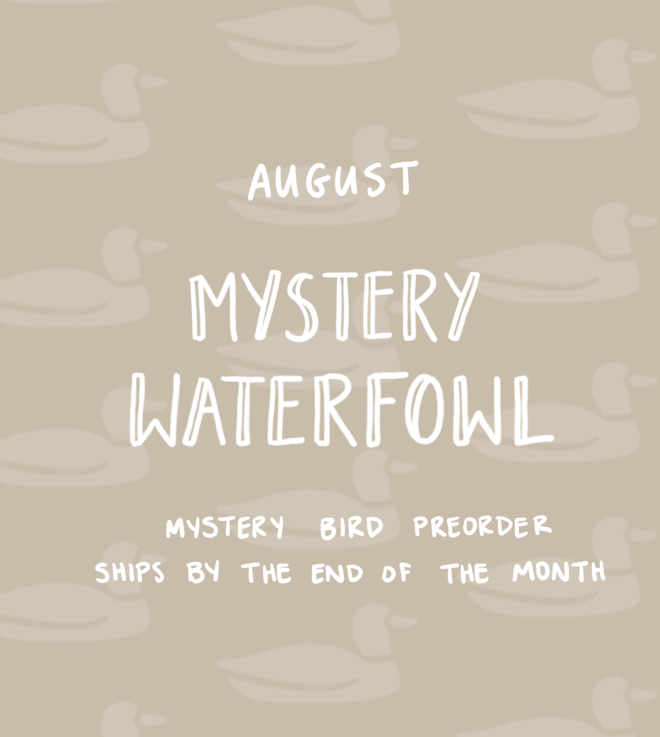 August Mystery Waterfowl
