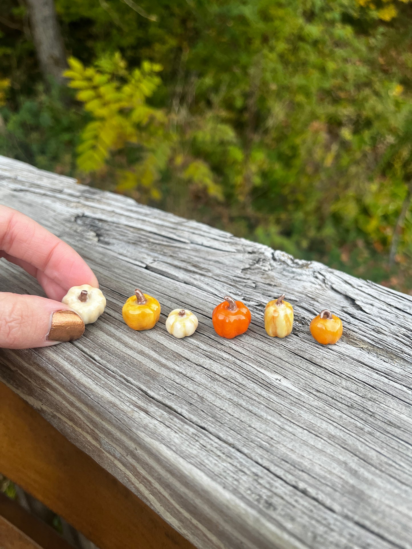 Mini Pumpkins