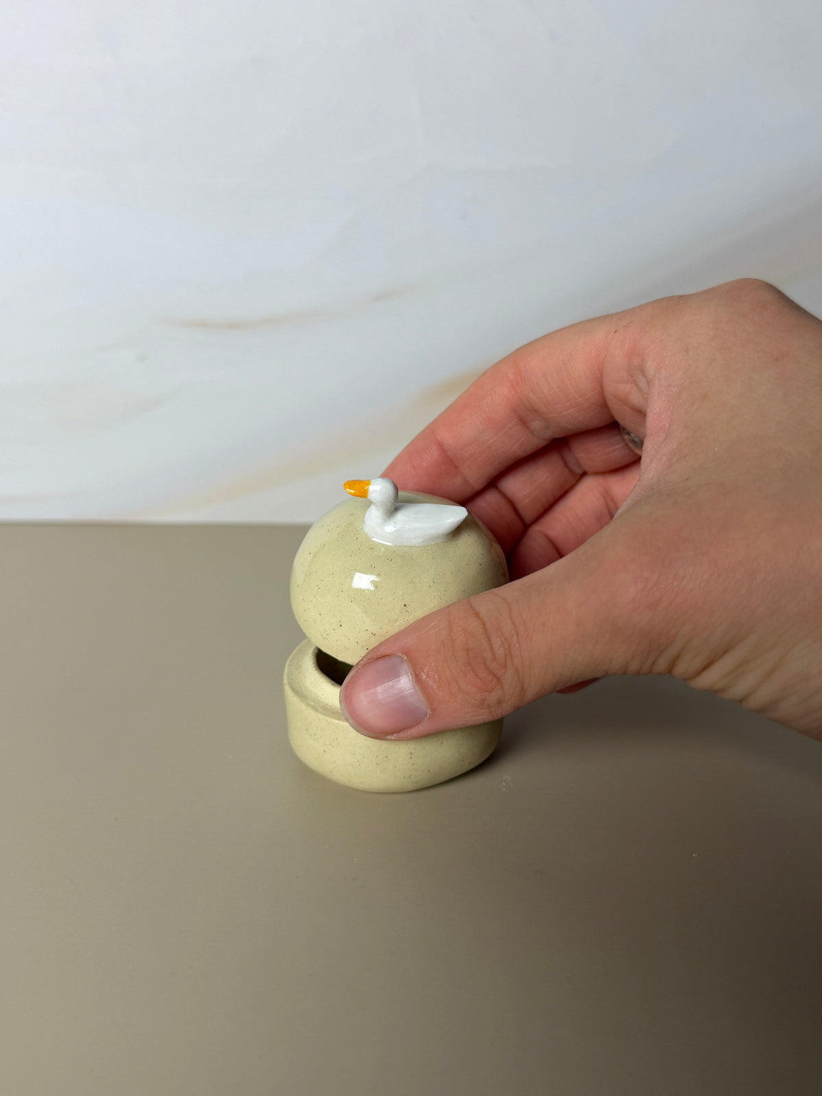 Mini Pekin Duck Jar 2