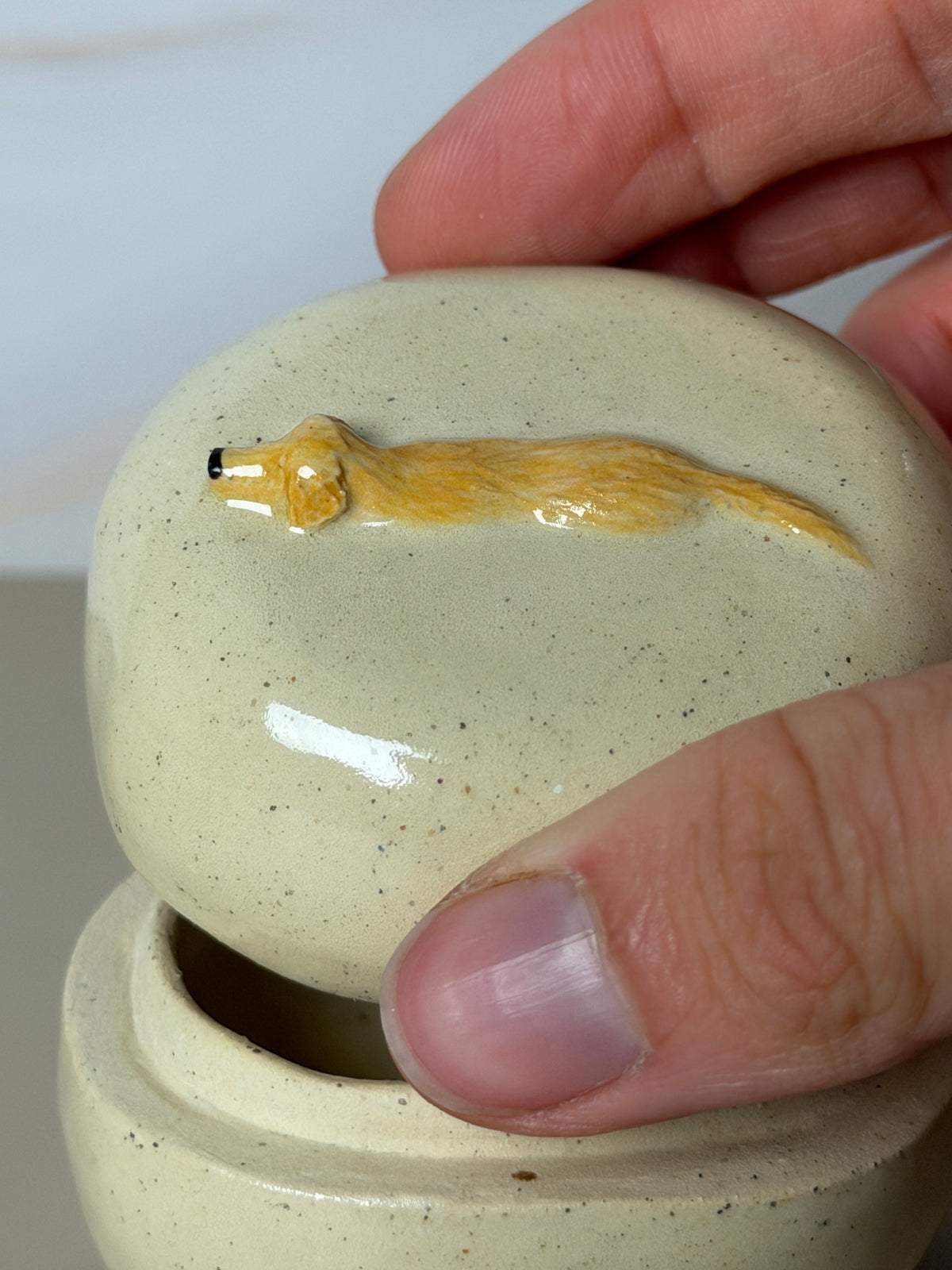 Golden Retriever Jar