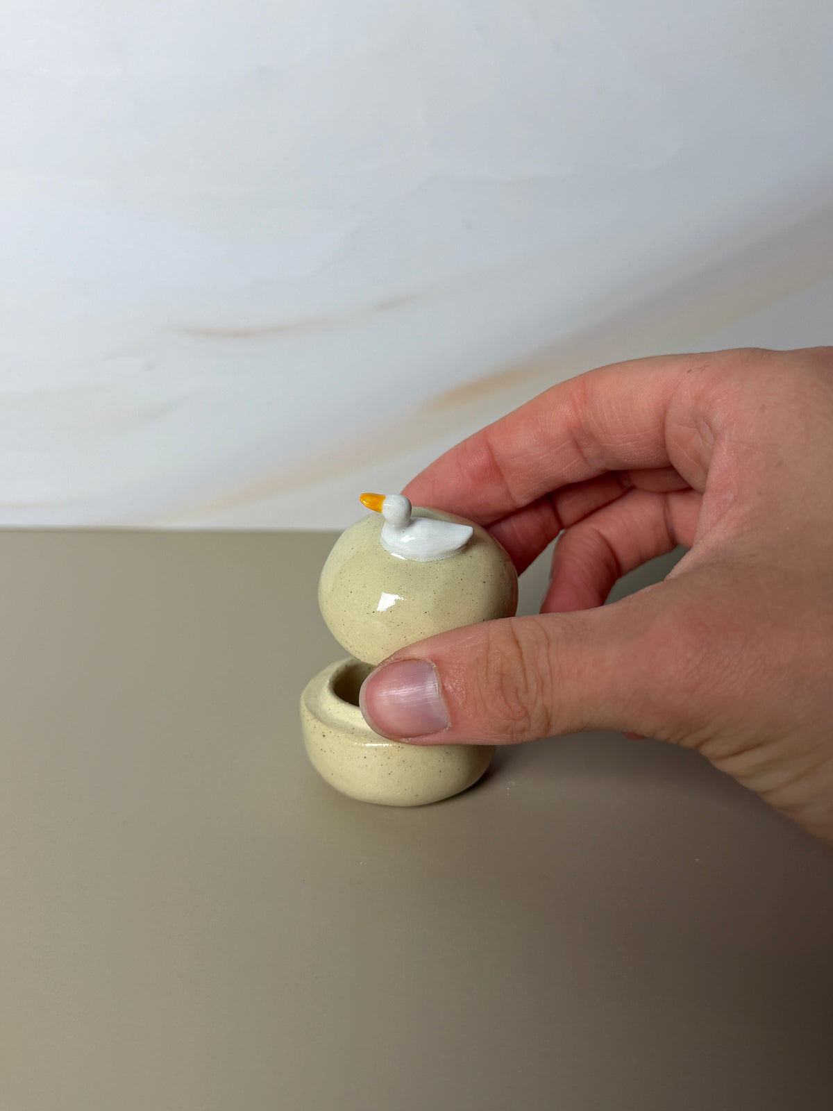 Mini Pekin Duck Jar 1