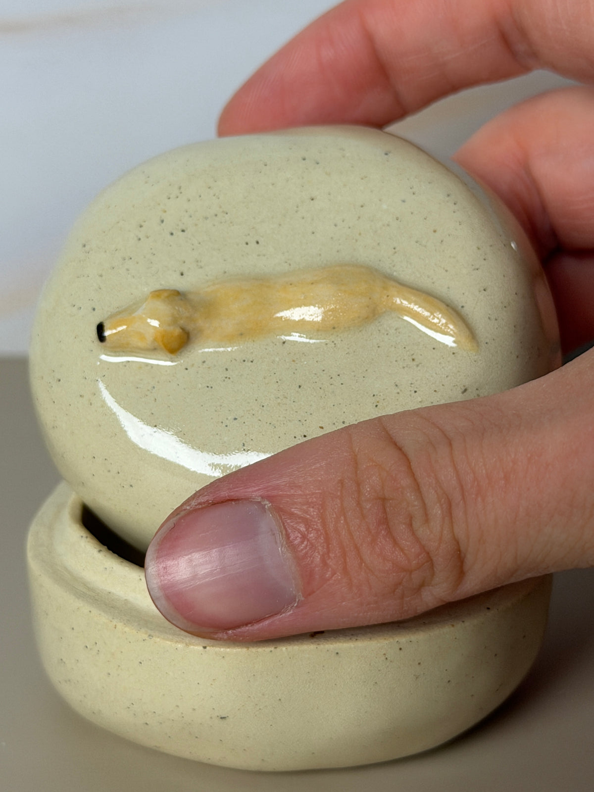 Yellow Labrador Retriever Jar
