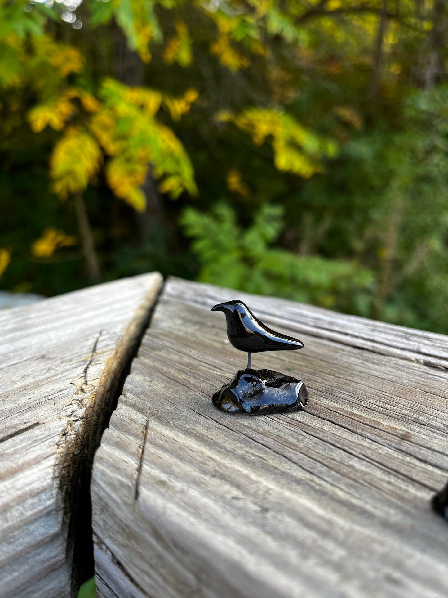 Windowsill Crow 5