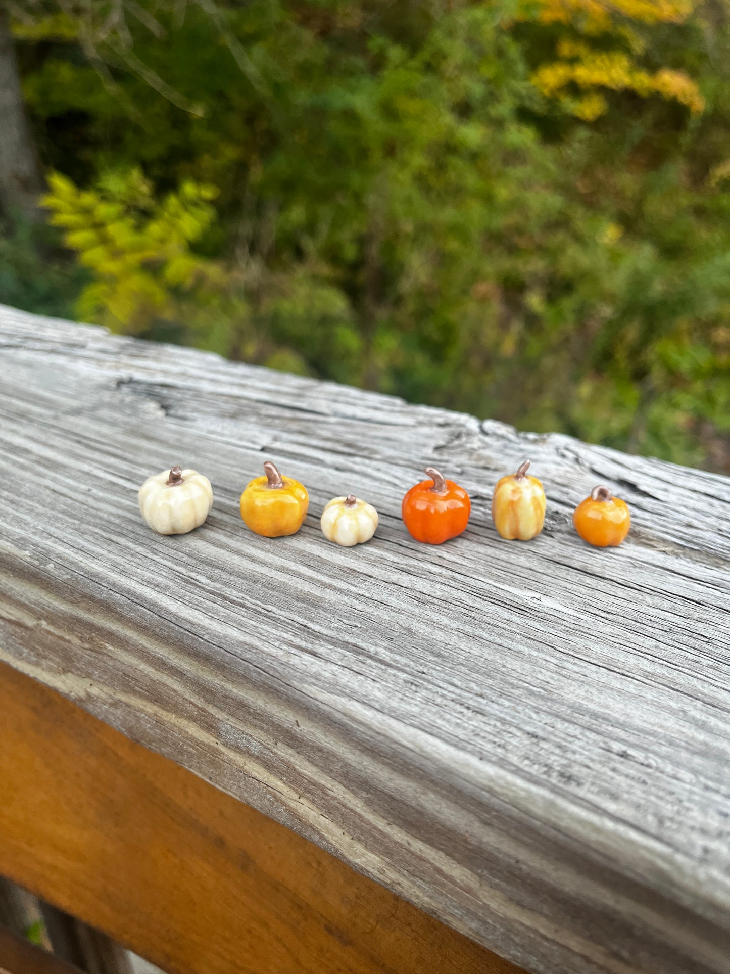 Mini Pumpkins