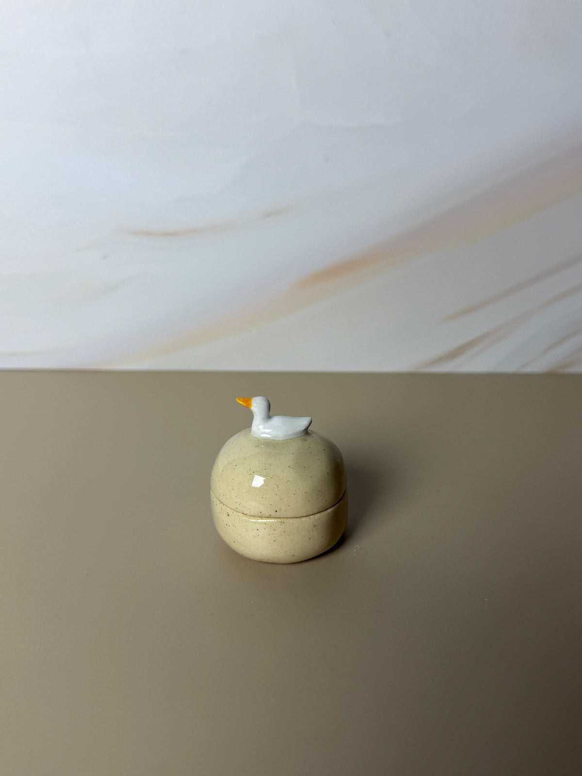 Mini Pekin Duck Jar 1