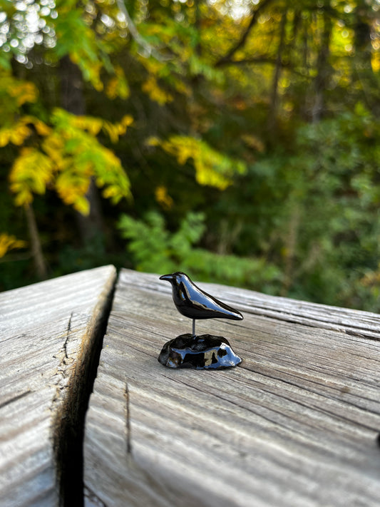 Windowsill Crow 6