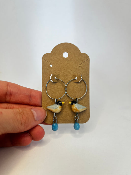 Robin's Egg Earrings