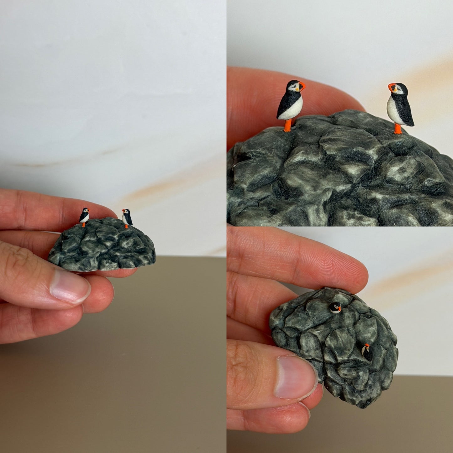 Eastern Egg Rock
