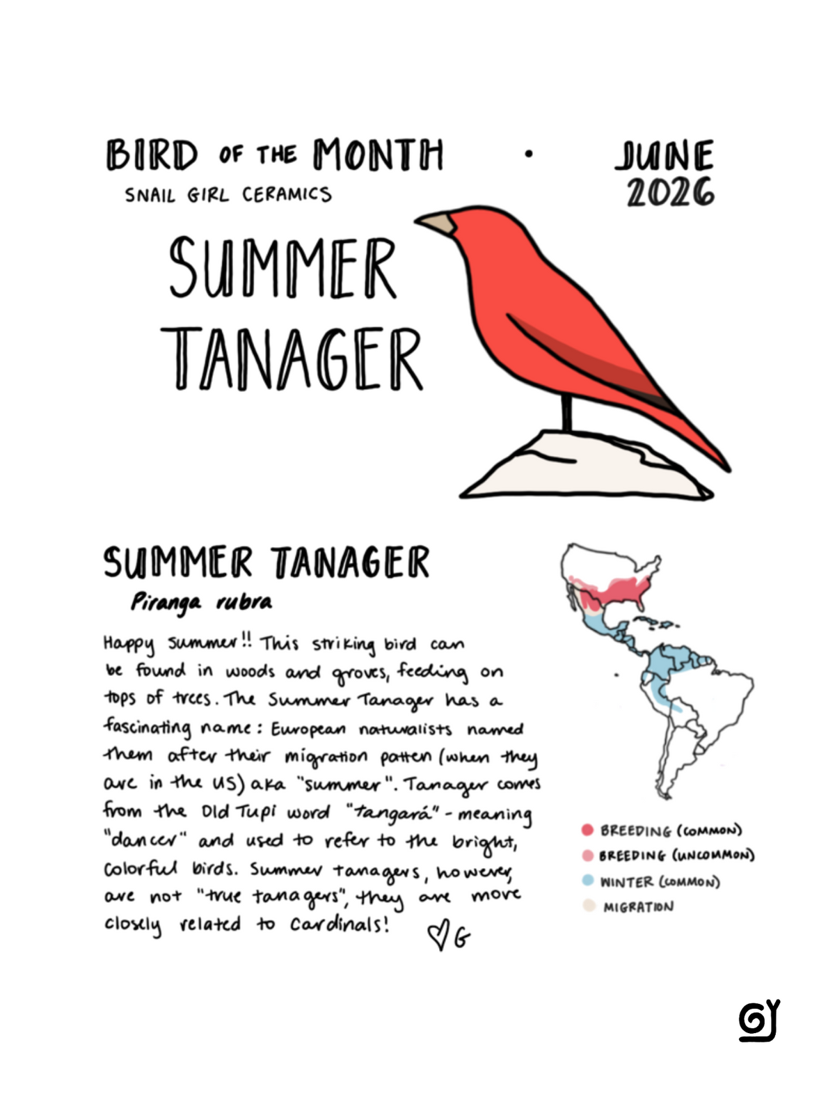 BOTM June - Summer Tanager
