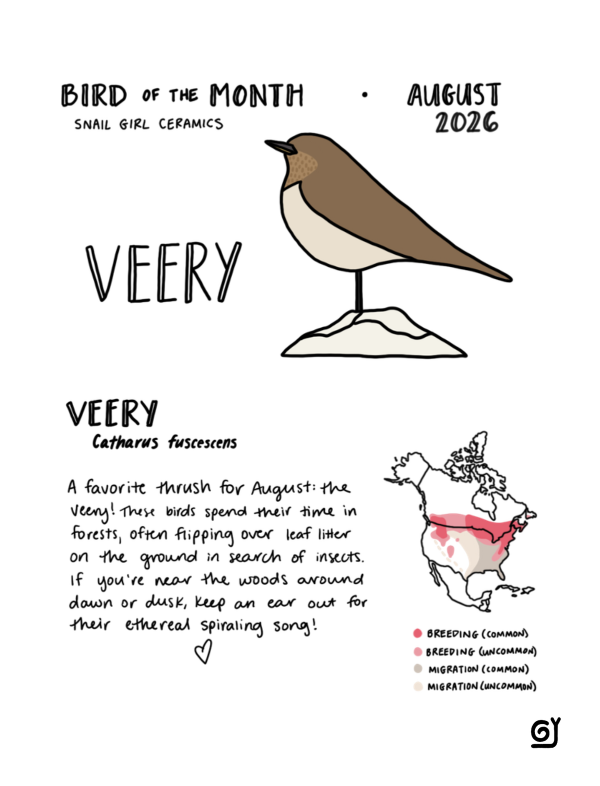BOTM August - Veery