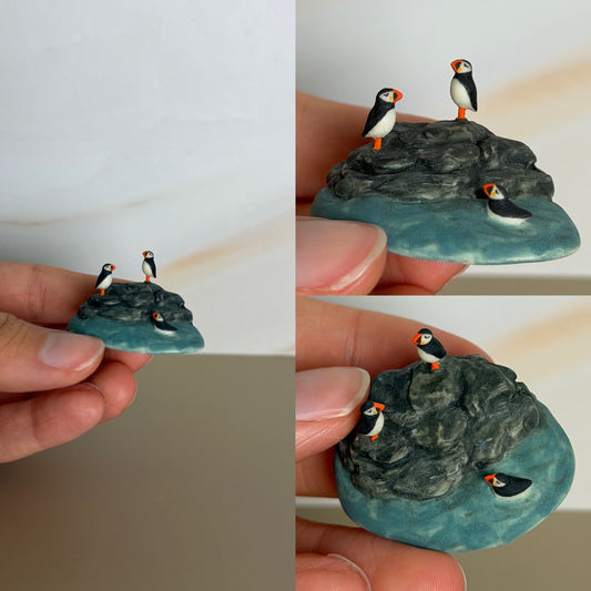 Puffin Swimming