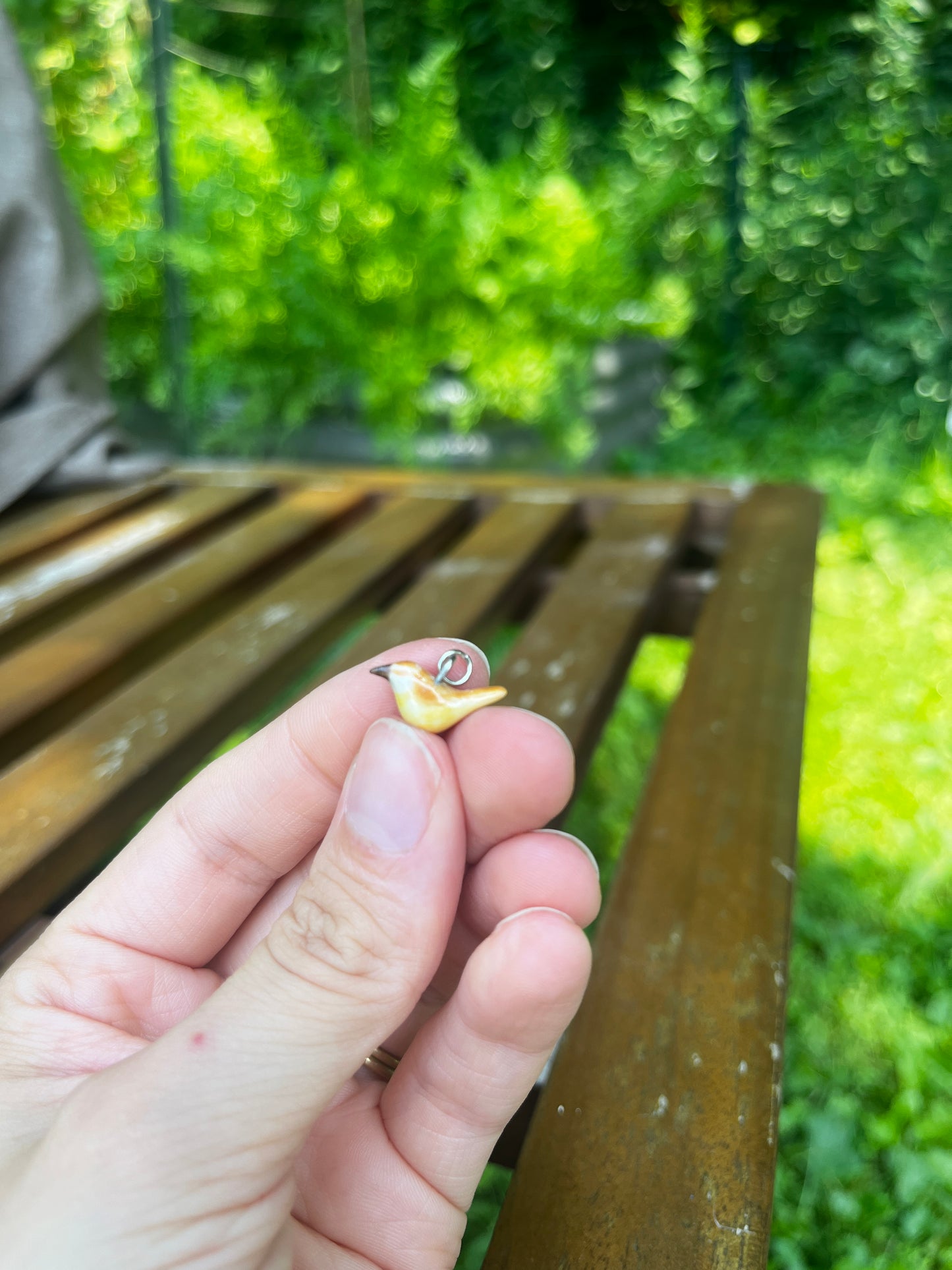 Carolina Wren Charm