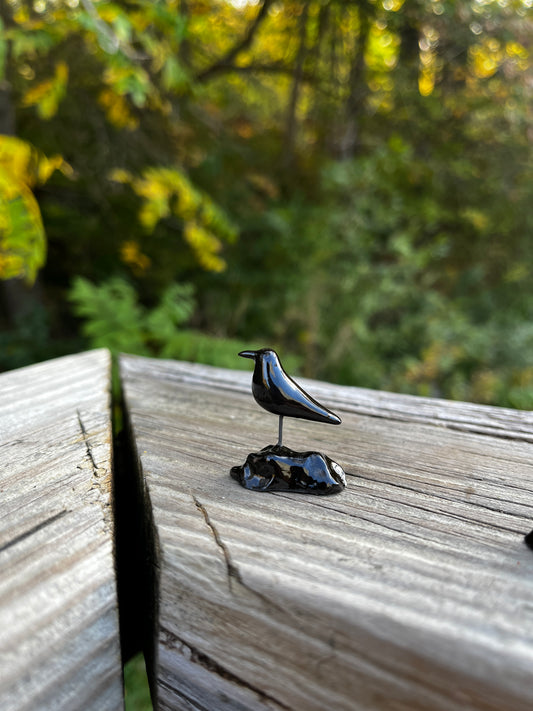 Windowsill Crow 2