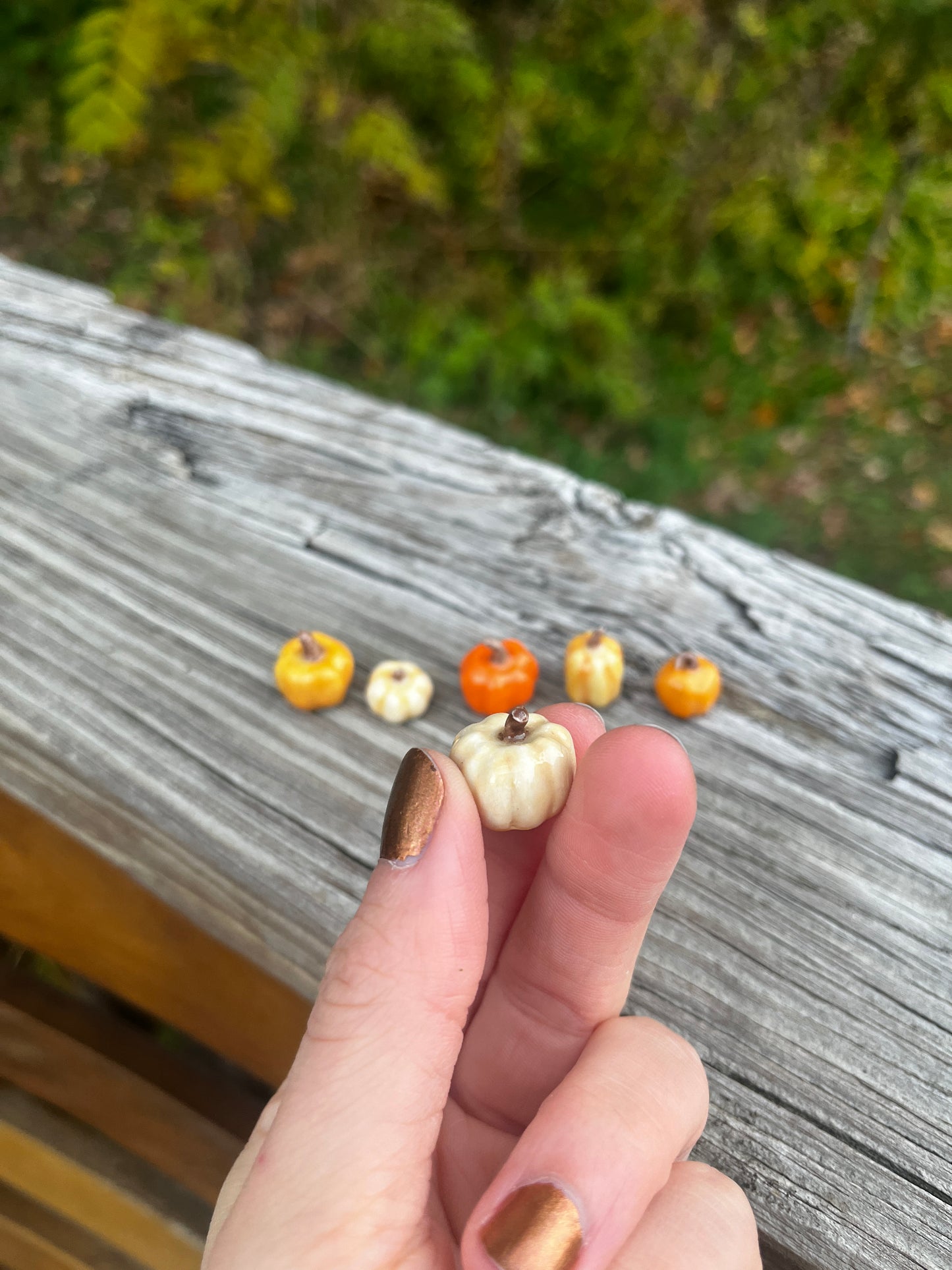 Mini Pumpkins