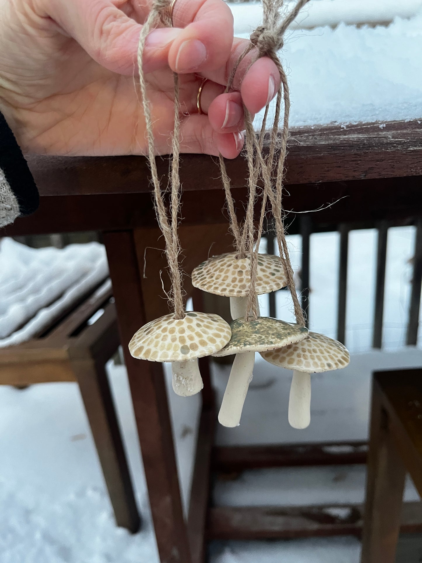 Mushroom Ornament 2024