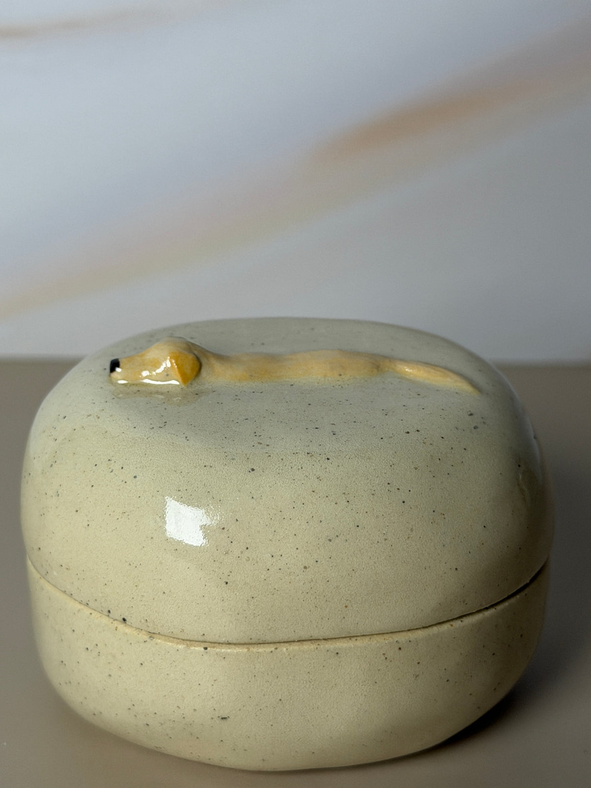 Yellow Labrador Retriever Jar