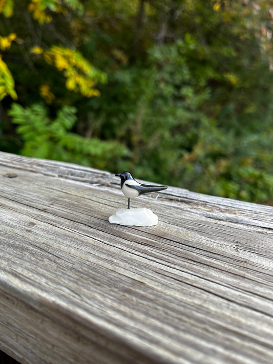 Windowsill Magpie