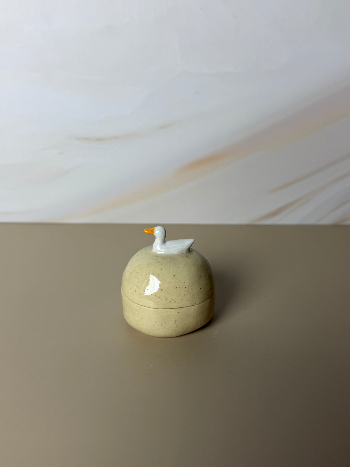 Mini Pekin Duck Jar 2