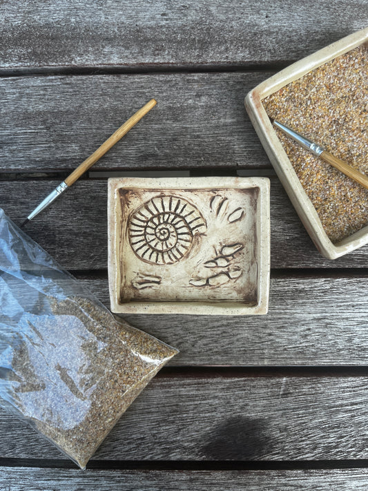 Fossil Sandbox 6