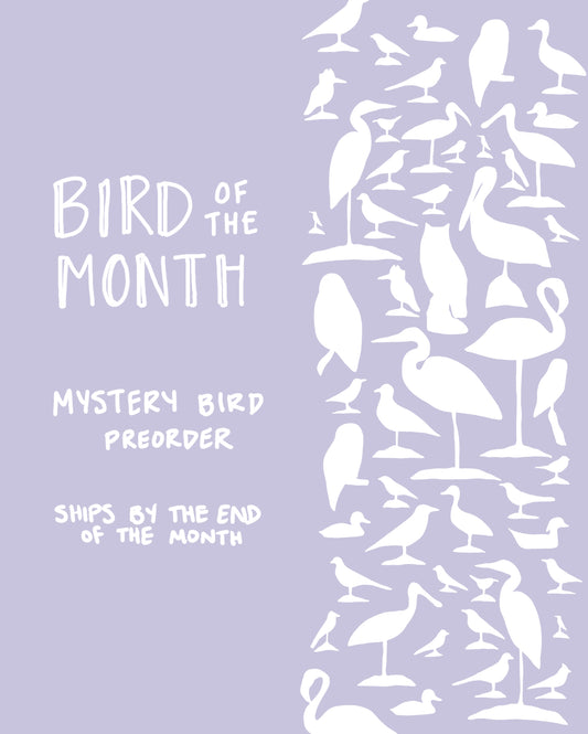 Bird of the Month - August