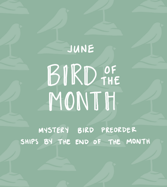 June Bird of the Month