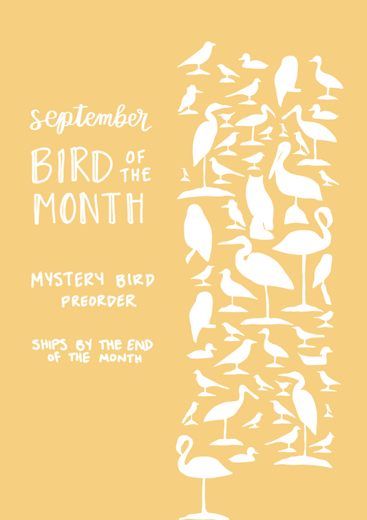 September Bird of the Month