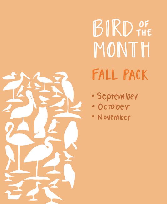 Bird of the Month: Fall Pack
