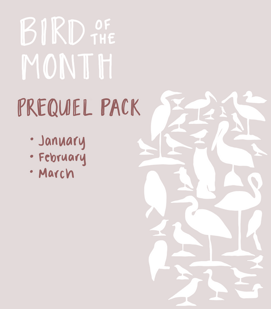 Bird of the Month: Prequel Pack