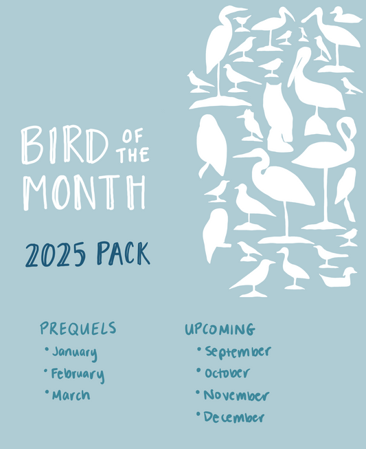 Bird of the Month: 2025 Pack