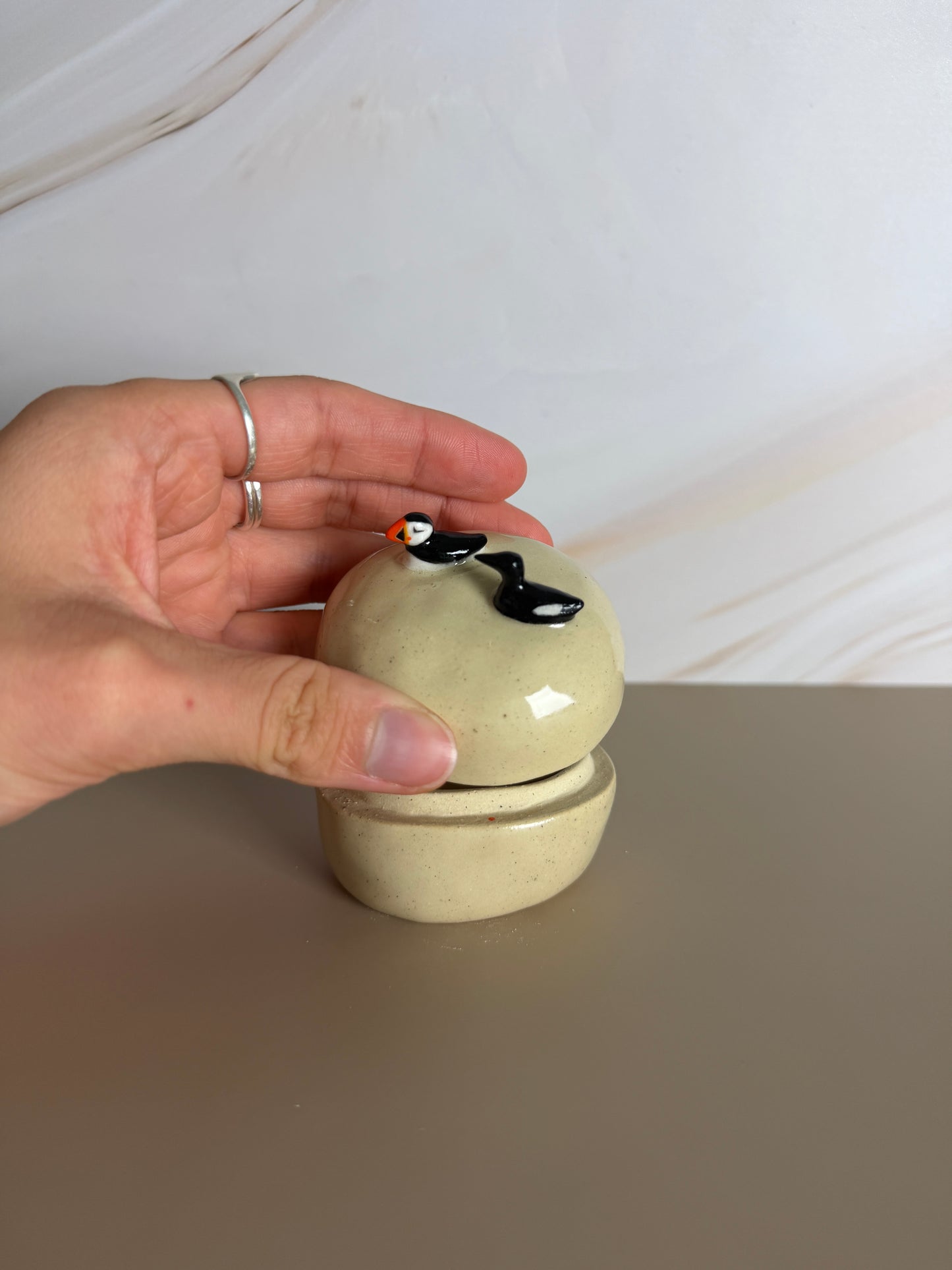 Puffin + Guillemot Jar