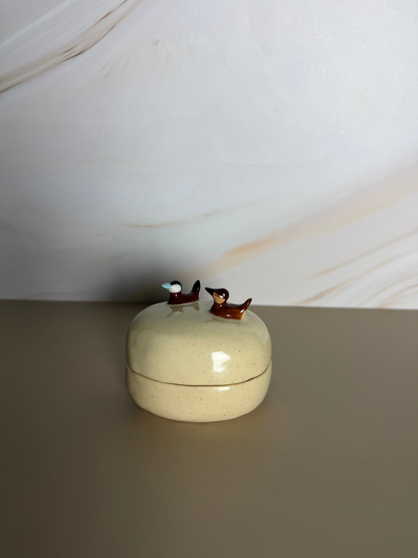 Ruddy Duck Jar