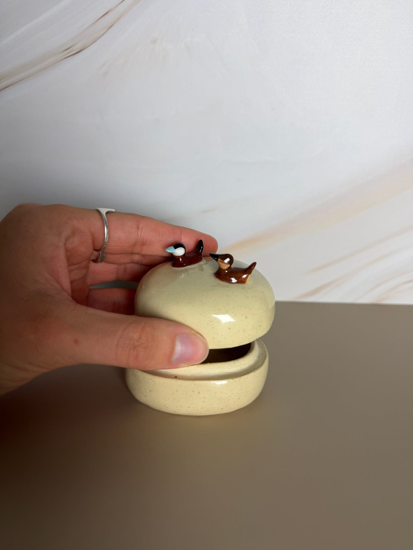 Ruddy Duck Jar
