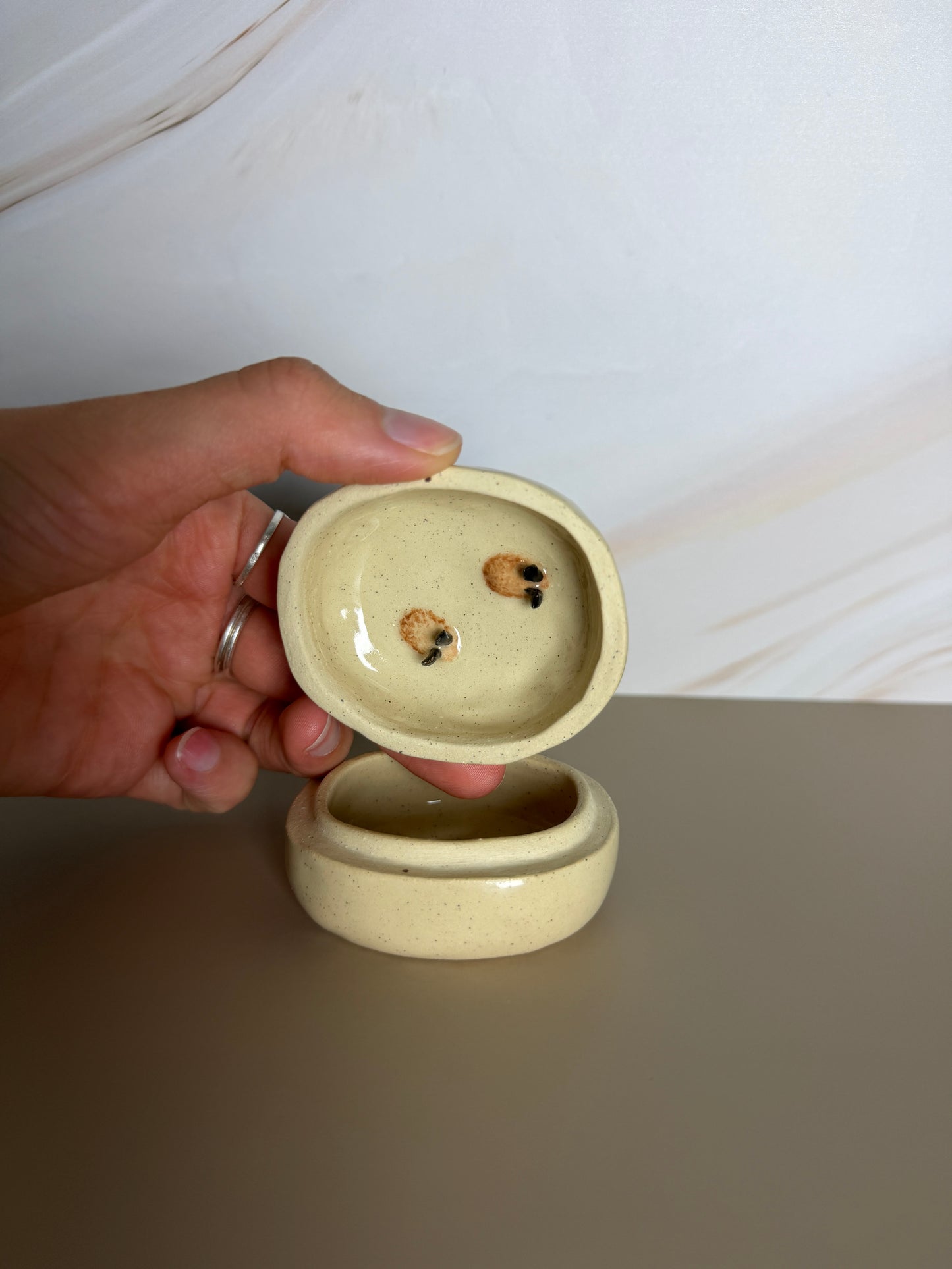 Ruddy Duck Jar